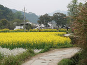 自然风景区