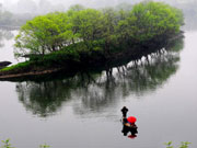 江湾风景