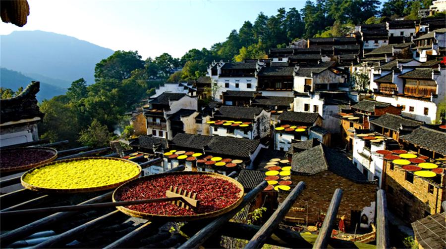 篁岭.jpg
